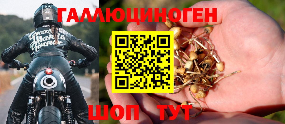 купить наркотики сайты  Вход с VPN  Бугуруслан  Псилоцибиновые грибы мицелий 